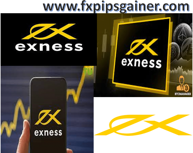 The Future of Forex Navigating the Exness Trading Platform