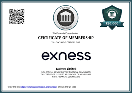 Understanding Exness Trading Central A Guide to Enhanced Trading
